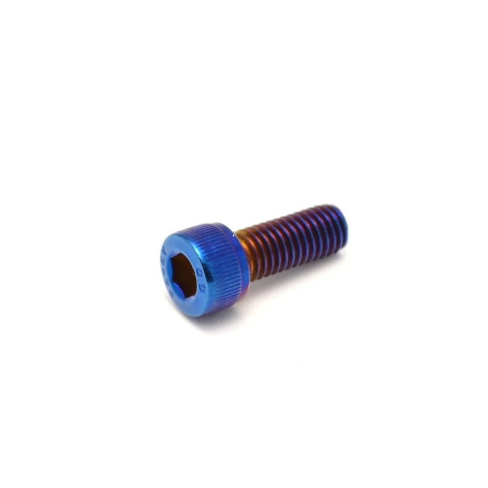 M4 M5 M6 M8 m10 Titanium Bolts